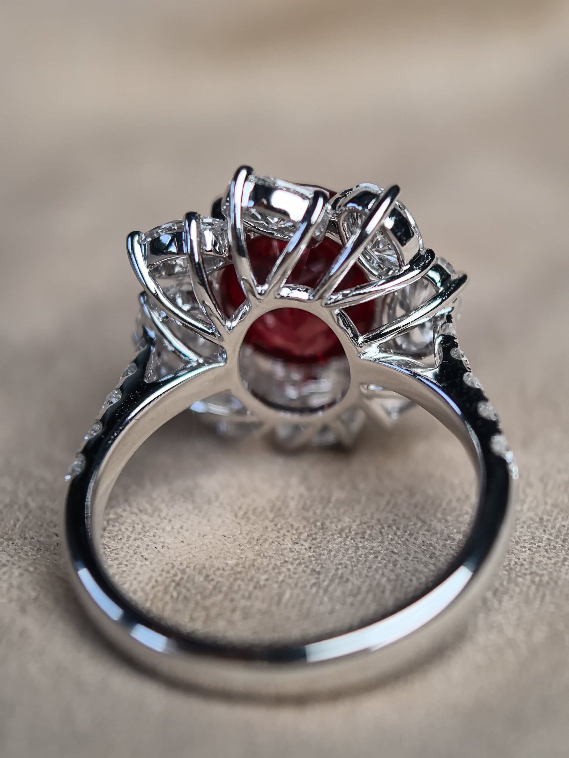 Juno Diamond 6-Carat Pigeon Blood Ruby Halo Ring