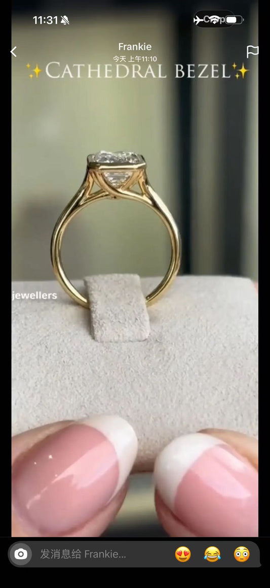 Juno Diamond A link for Frankie to pay(B)