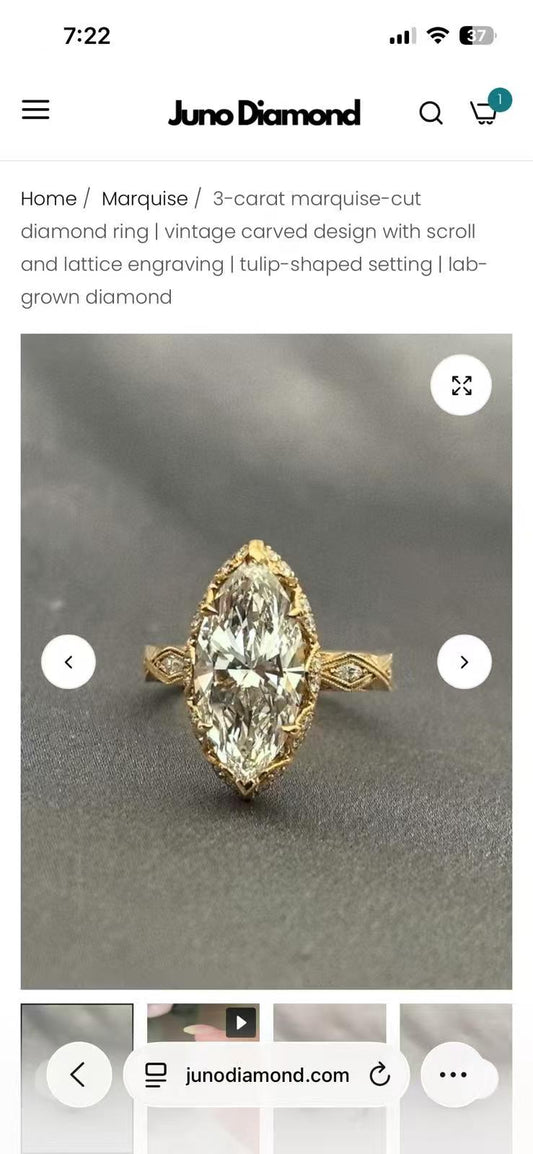 Juno Diamond A LINK FOR ALEXA TO PAY(C)