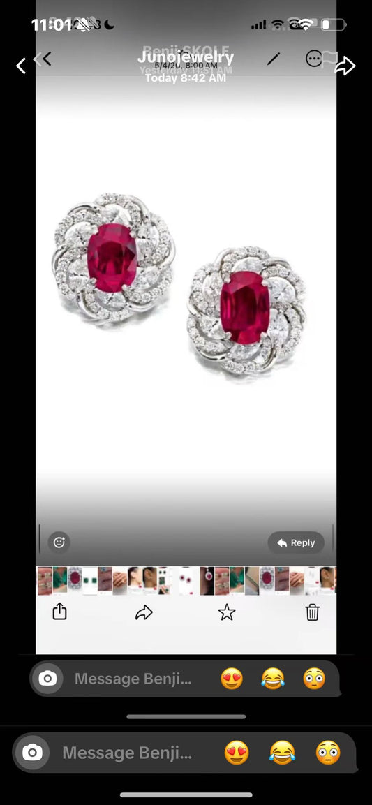 a link for  Carmen  to pay