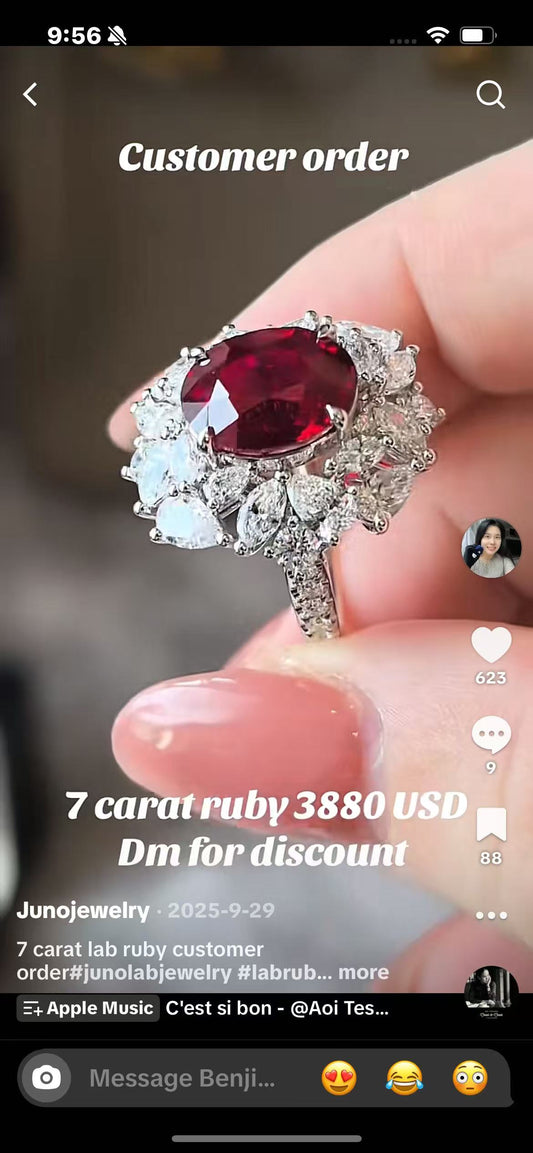 a link for  Carmen  to pay