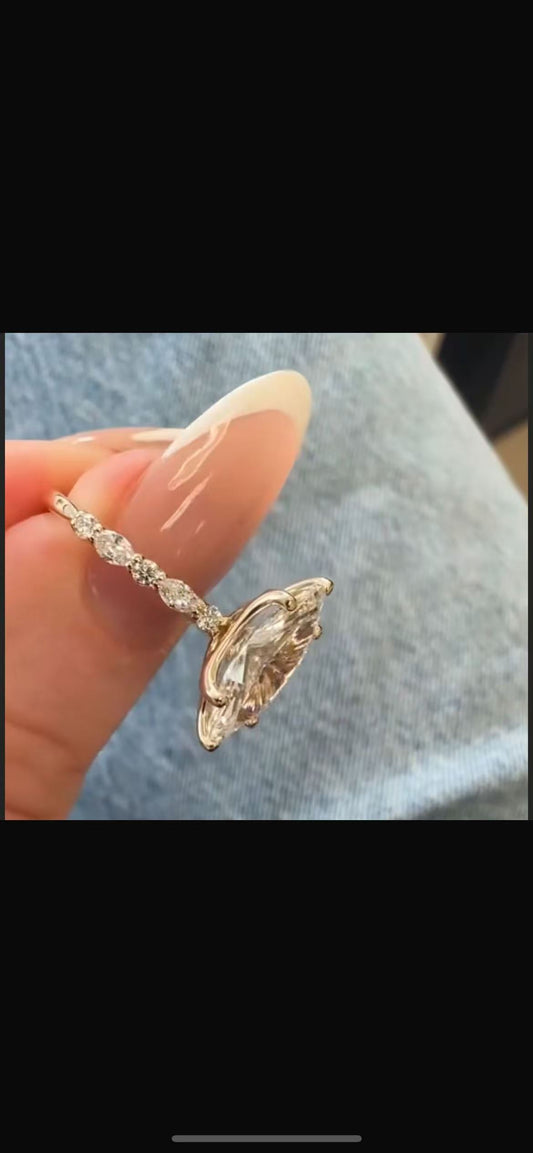 A link for Alejandra to pay