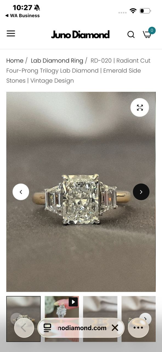 Juno Diamond A Link for Dominic to Pay Half
