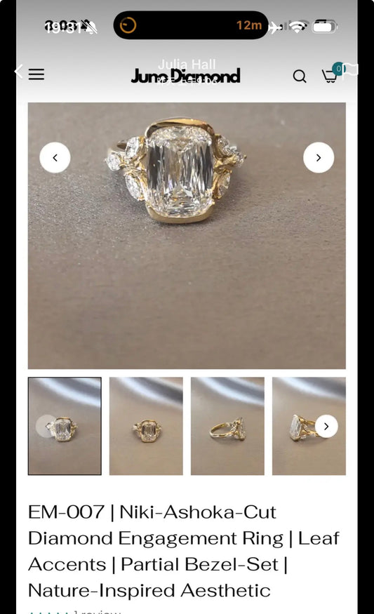 Juno Diamond A link for Julia to pay(B)