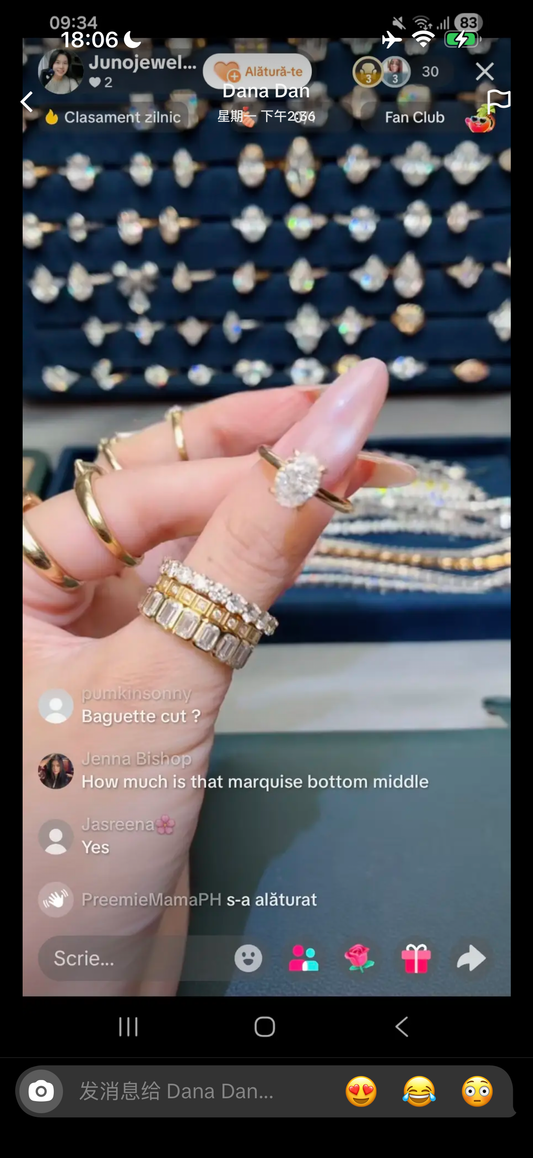 A link for Dana to pay