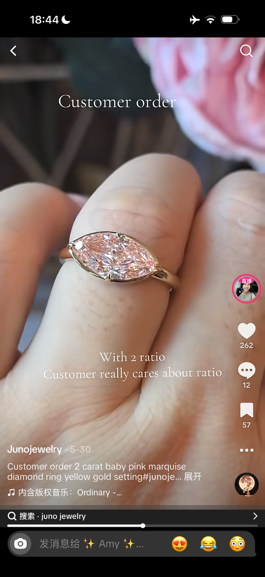 A link for Amy to pay