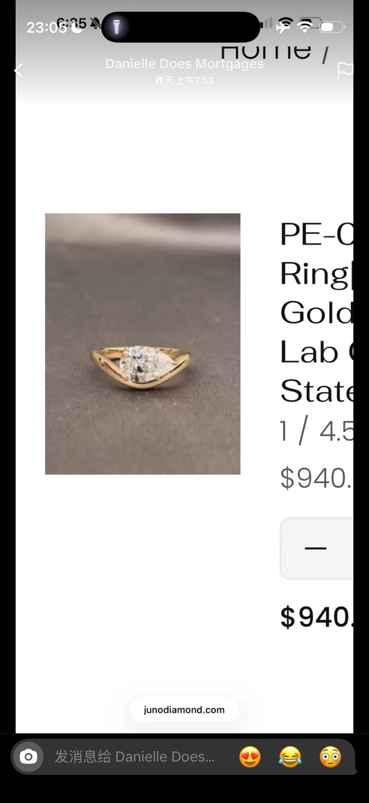 A link for Danielle to pay
