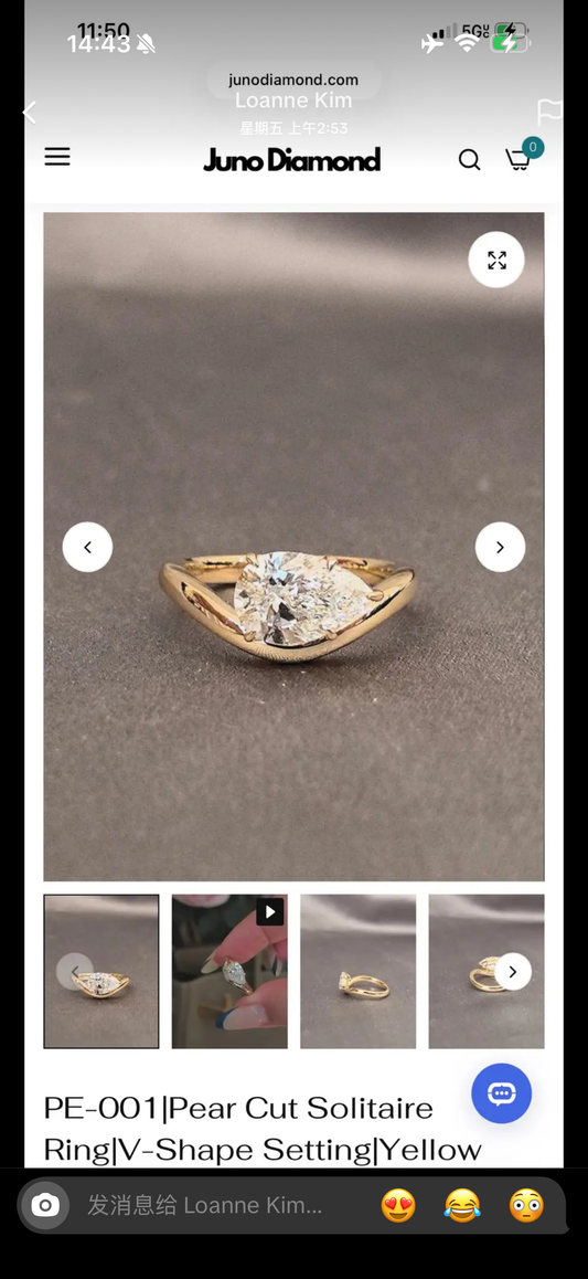 Juno Diamond A link for Loanne to pay(B)