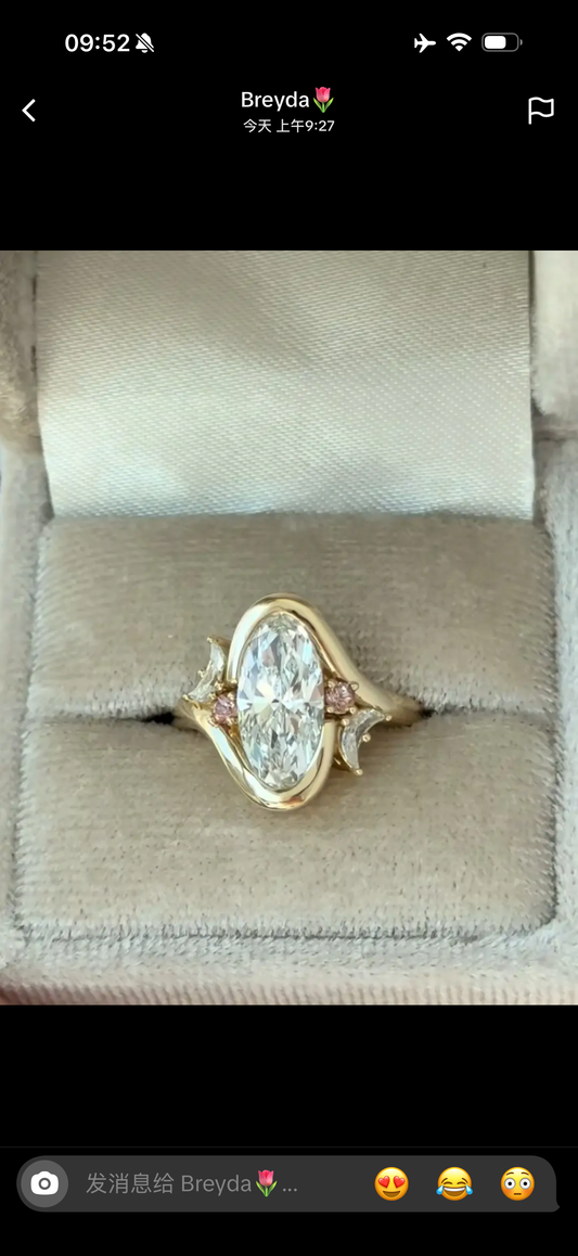 Juno Diamond A link for Breyda to pay(B)