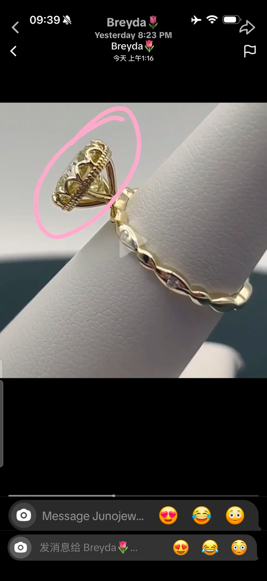 Juno Diamond A link for Breyda to pay(B)