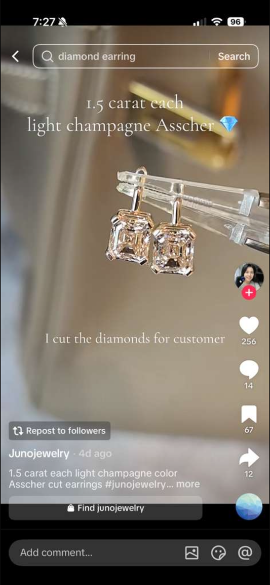 Juno Diamond A link for Lindsay to pay