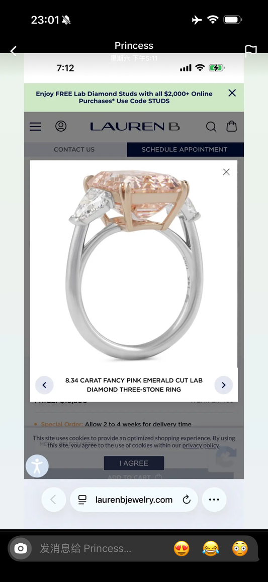 Juno Diamond A link for angelle to pay(B)