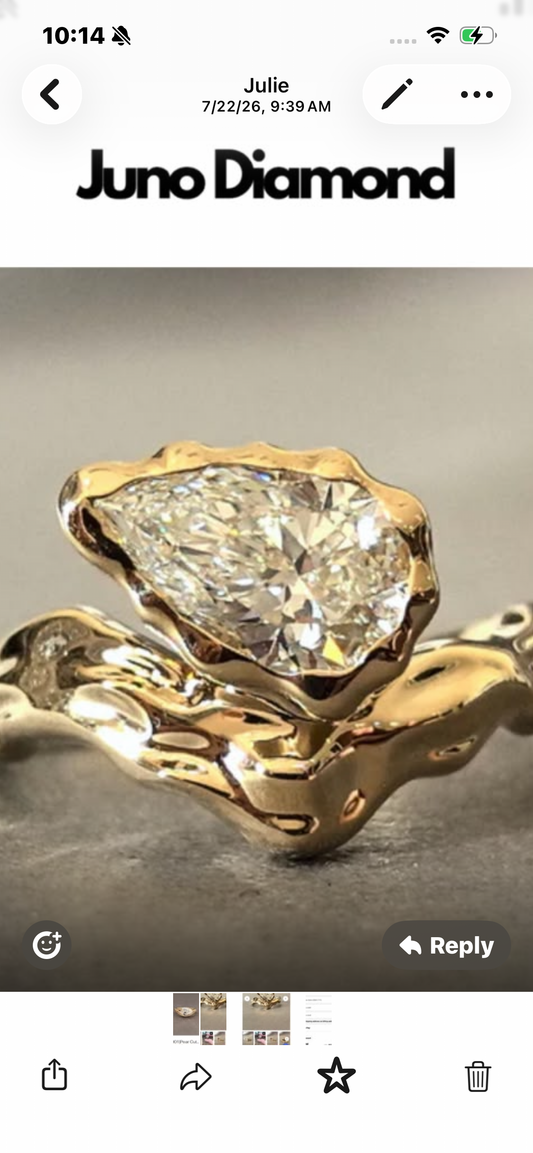 Juno Diamond A link for Julie to pay