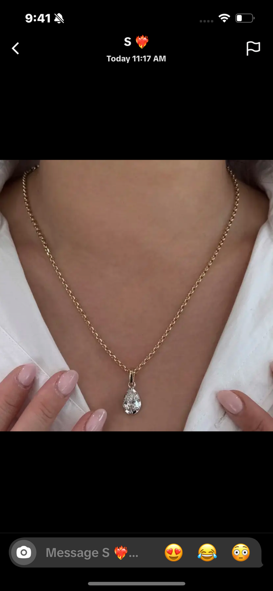 A link for sai to pay for two necklaces