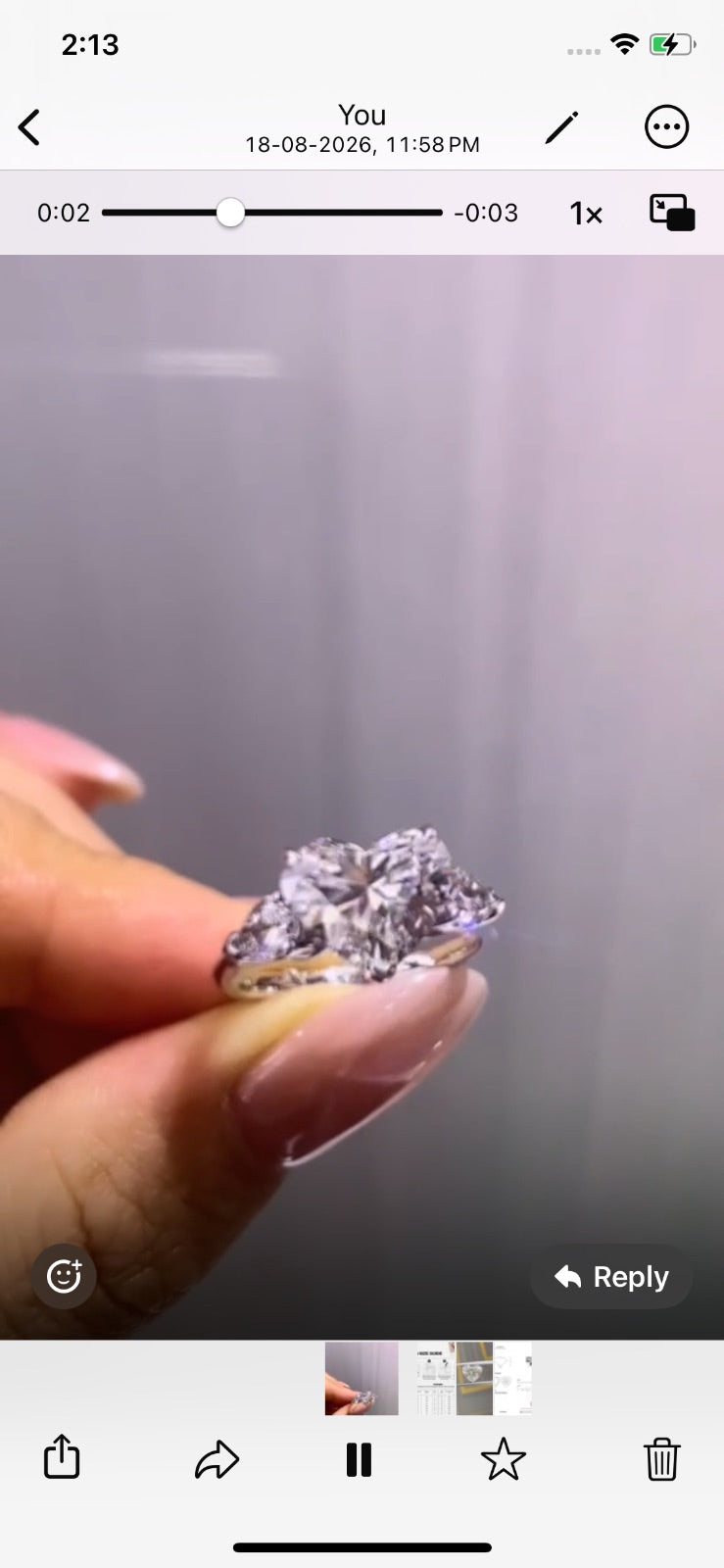 Juno Diamond A link for Brittany to pay