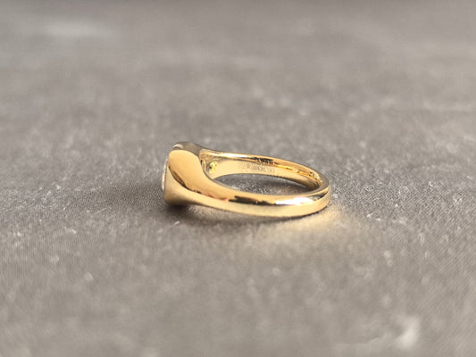 Juno Diamond CU-030 | 0.7 Carat Radiant Lab-Grown Diamond Wide Bezel Yellow Gold Ring Ring