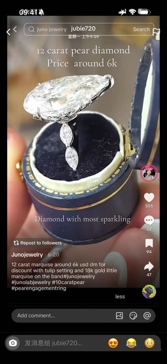 Juno Diamond A link for jubie to pay(B)