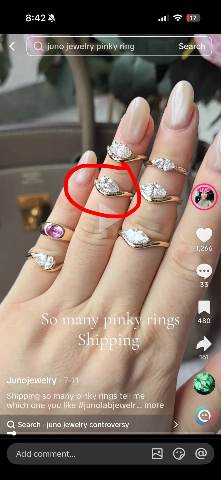 Juno Diamond A link for amandarae to pay
